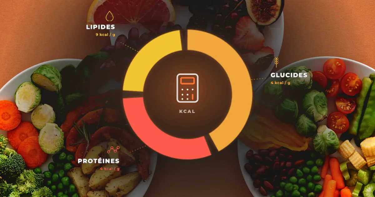 Les bases de la nutrition : calories et macronutriments