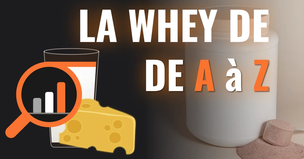 Shaker de protéines whey avec poudre blanche et étiquette d'aminogramme illustrant les composants d'une whey de qualité